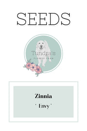 Zinnia Seeds - Envy